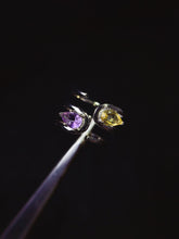 Charger l'image dans la galerie, JCX - 0630 - 144139 - 6 - 1 - 貴婦人の宝箱