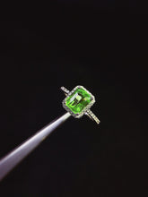 Charger l'image dans la galerie, JCX - 0630 - 144837 - 8 - 1 - 貴婦人の宝箱