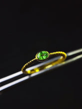 Charger l'image dans la galerie, JCX - 0630 - 145026 - 4 - 1 - 貴婦人の宝箱