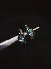 Charger l'image dans la galerie, JCX - 0630 - 145313 - 7 - 1 - 貴婦人の宝箱