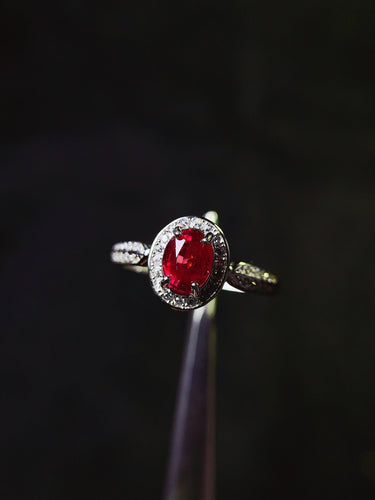 JCX - 0630 - 150032 - 7 - 1 - 貴婦人の宝箱