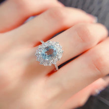 Charger l'image dans la galerie, LBL - 0526 - 204639 - 8 - 1 - 貴婦人の宝箱