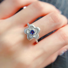 Charger l'image dans la galerie, LBL - 0526 - 204857 - 4 - 1 - 貴婦人の宝箱
