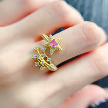Charger l'image dans la galerie, LBL - 0527 - 111050 - 7 - 1 - 貴婦人の宝箱
