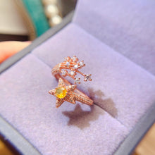 Charger l'image dans la galerie, LBL - 0527 - 111111 - 4 - 1 - 貴婦人の宝箱