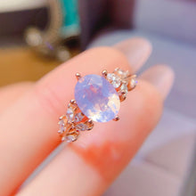 Charger l'image dans la galerie, LBL - 0527 - 173412 - 9 - 1 - 貴婦人の宝箱