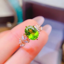 Charger l'image dans la galerie, LBL - 0527 - 173611 - 9 - 1 - 貴婦人の宝箱