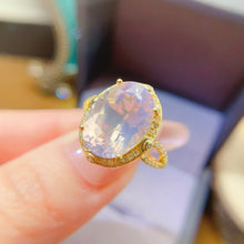 Charger l'image dans la galerie, LBL - 0528 - 093958 - 14 - 1 - 貴婦人の宝箱