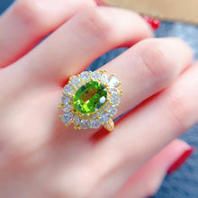 Charger l'image dans la galerie, LBL - 0528 - 105206 - 10 - 1 - 貴婦人の宝箱