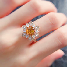 Charger l'image dans la galerie, LBL - 0528 - 105230 - 7 - 1 - 貴婦人の宝箱