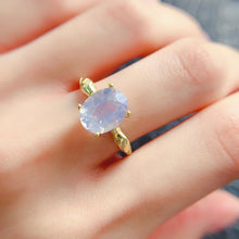 Charger l'image dans la galerie, LBL - 0528 - 105337 - 10 - 1 - 貴婦人の宝箱
