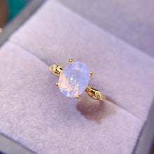 Charger l'image dans la galerie, LBL - 0528 - 105337 - 10 - 1 - 貴婦人の宝箱