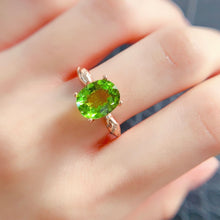 Charger l'image dans la galerie, LBL - 0528 - 153447 - 10 - 1 - 貴婦人の宝箱