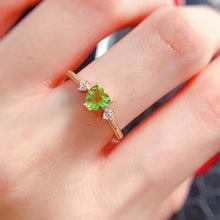 Charger l'image dans la galerie, LBL - 0530 - 141040 - 5 - 1 - 貴婦人の宝箱