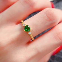 Charger l'image dans la galerie, LBL - 0530 - 141248 - 5 - 1 - 貴婦人の宝箱