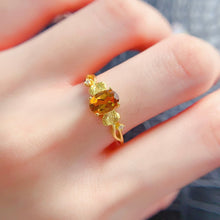 Charger l'image dans la galerie, LBL - 0531 - 124919 - 7 - 1 - 貴婦人の宝箱