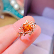 Charger l'image dans la galerie, LBL - 0531 - 124957 - 8 - 1 - 貴婦人の宝箱
