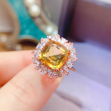 Charger l'image dans la galerie, LBL - 0531 - 125028 - 10 - 1 - 貴婦人の宝箱