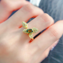 Charger l'image dans la galerie, LBL - 0531 - 130335 - 6 - 1 - 貴婦人の宝箱