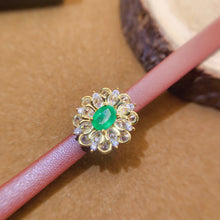 Charger l'image dans la galerie, LBL - 0601 - 172810 - 8 - 1 - 貴婦人の宝箱