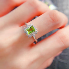 Charger l'image dans la galerie, LBL - 0601 - 172907 - 6 - 1 - 貴婦人の宝箱