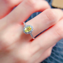 Charger l'image dans la galerie, LBL - 0601 - 173119 - 6 - 1 - 貴婦人の宝箱