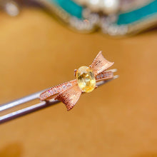 Charger l'image dans la galerie, LBL - 0605 - 100147 - 6 - 1 - 貴婦人の宝箱