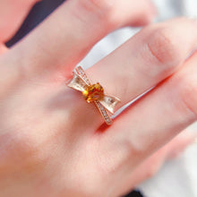Charger l'image dans la galerie, LBL - 0605 - 100215 - 6 - 1 - 貴婦人の宝箱