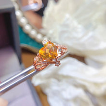 Charger l'image dans la galerie, LBL - 0605 - 100225 - 8 - 1 - 貴婦人の宝箱