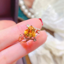 Charger l'image dans la galerie, LBL - 0605 - 100225 - 8 - 1 - 貴婦人の宝箱