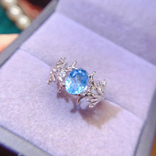 Charger l'image dans la galerie, LBL - 0606 - 093129 - 8 - 1 - 貴婦人の宝箱