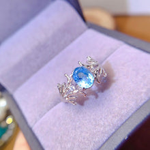 Charger l'image dans la galerie, LBL - 0606 - 093129 - 8 - 1 - 貴婦人の宝箱