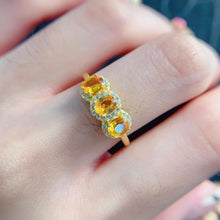 Charger l'image dans la galerie, LBL - 0607 - 173612 - 1 - 貴婦人の宝箱