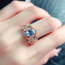 Charger l'image dans la galerie, LBL - 0610 - 115605 - 7 - 1 - 貴婦人の宝箱