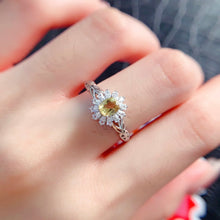 Charger l'image dans la galerie, LBL - 0611 - 142554 - 5 - 1 - 貴婦人の宝箱