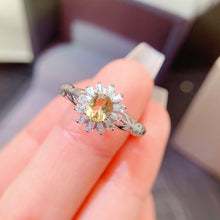 Charger l'image dans la galerie, LBL - 0611 - 142554 - 5 - 1 - 貴婦人の宝箱