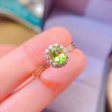 Charger l'image dans la galerie, LBL - 0612 - 153512 - 7 - 1 - 貴婦人の宝箱