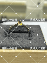 Charger l'image dans la galerie, lcadj - 貴婦人の宝箱
