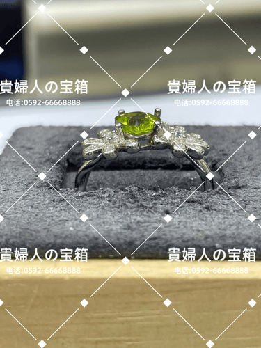 lccaj - 貴婦人の宝箱