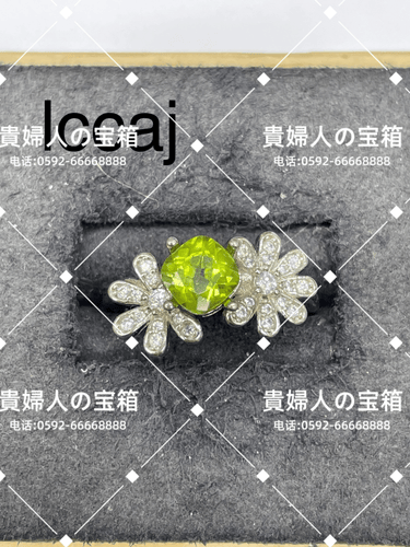 lccaj - 貴婦人の宝箱