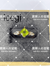 Charger l'image dans la galerie, lccgj - 貴婦人の宝箱