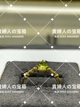 Charger l'image dans la galerie, lcgab - 貴婦人の宝箱