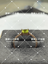 Charger l'image dans la galerie, lcjdk - 貴婦人の宝箱