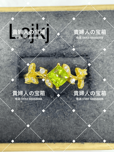 lcjkj - 貴婦人の宝箱