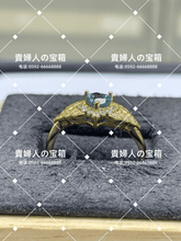 Charger l'image dans la galerie, lcqaf - 貴婦人の宝箱