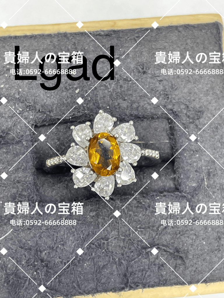 lgad - 貴婦人の宝箱