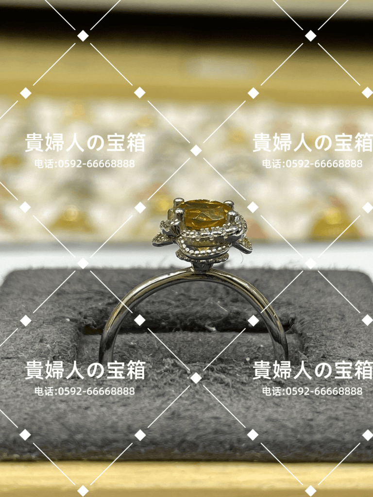 lhfj - 貴婦人の宝箱