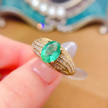 Charger l'image dans la galerie, LMM - 0525 - 161521 - 8 - 1 - 貴婦人の宝箱