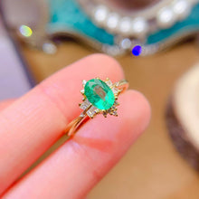 Charger l'image dans la galerie, LMM - 0601 - 152738 - 7 - 1 - 貴婦人の宝箱