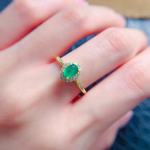 Charger l'image dans la galerie, LMM - 0605 - 171619 - 6 - 1 - 貴婦人の宝箱